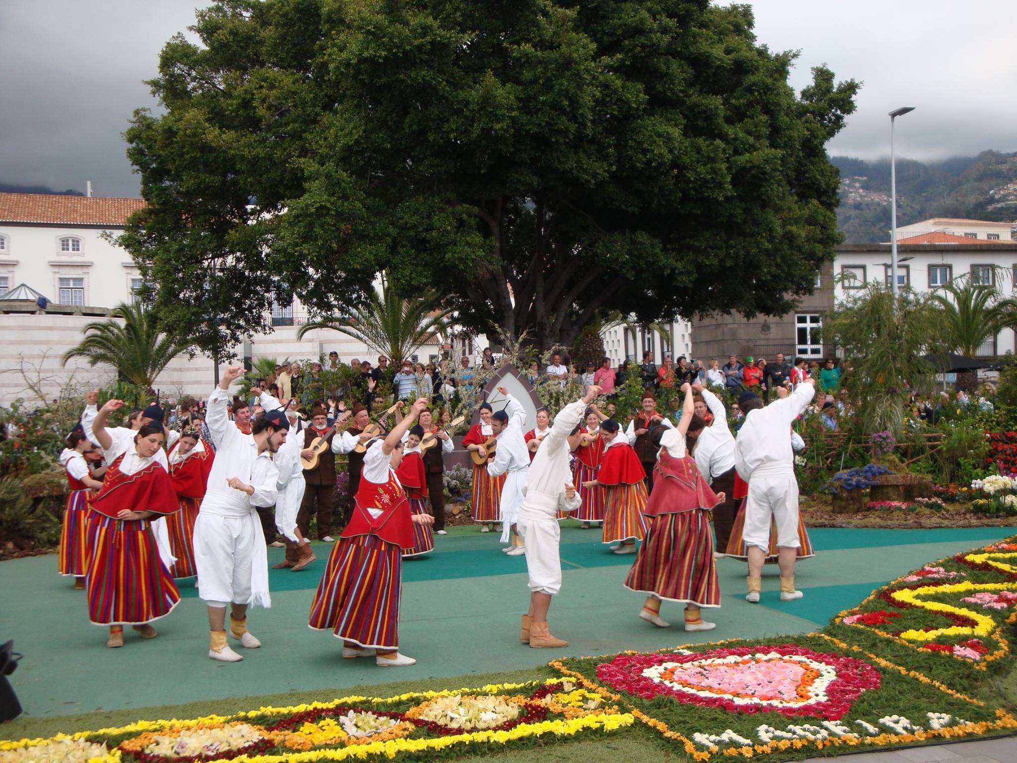 Grupo Folclórico da Casa do Povo da Camacha, Ranchos da Ilha da Madeira, Folclore Madeirense, Ranchos, Portugal, Ranchos Folclóricos, Portugueses, Camacha